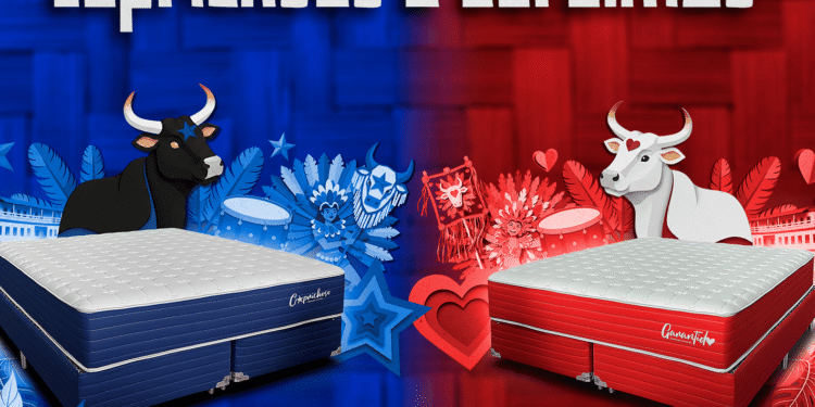 Duas camas, duas paixões: Garantido e Caprichoso